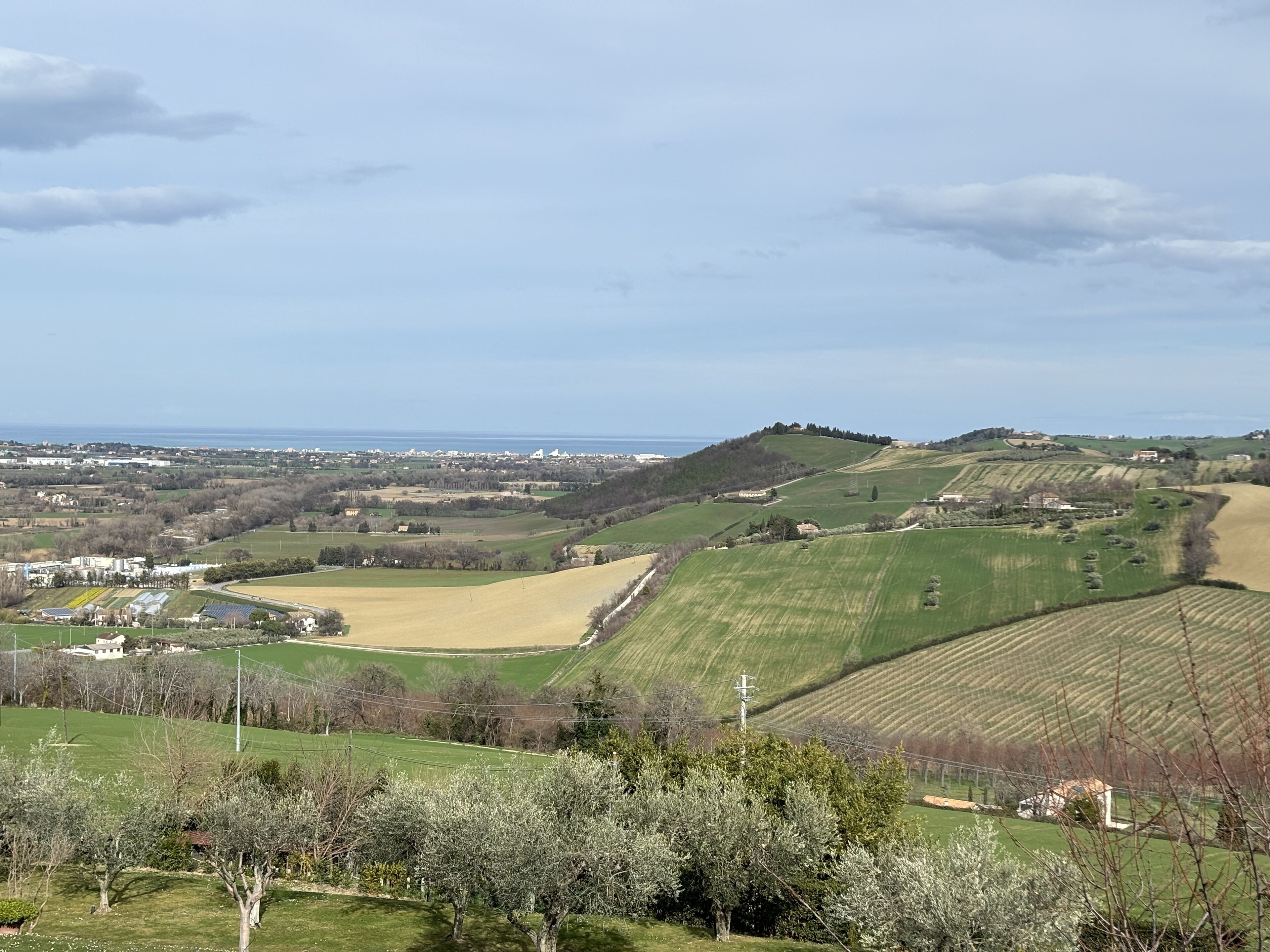 Foto - Castello Di Monterado