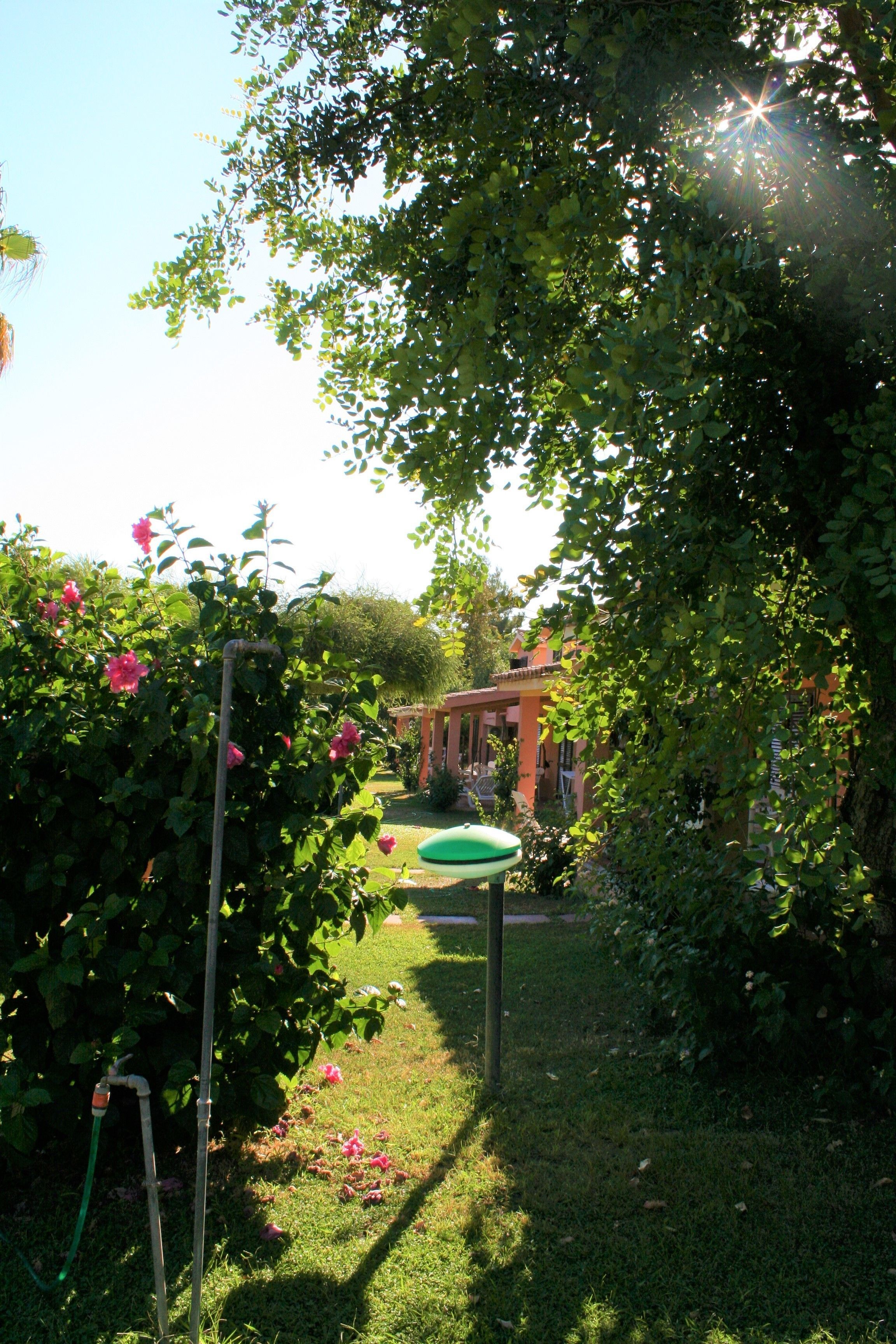 Un jardin avec une pelouse verdoyante, des fleurs roses et une structure en forme de pergola.
