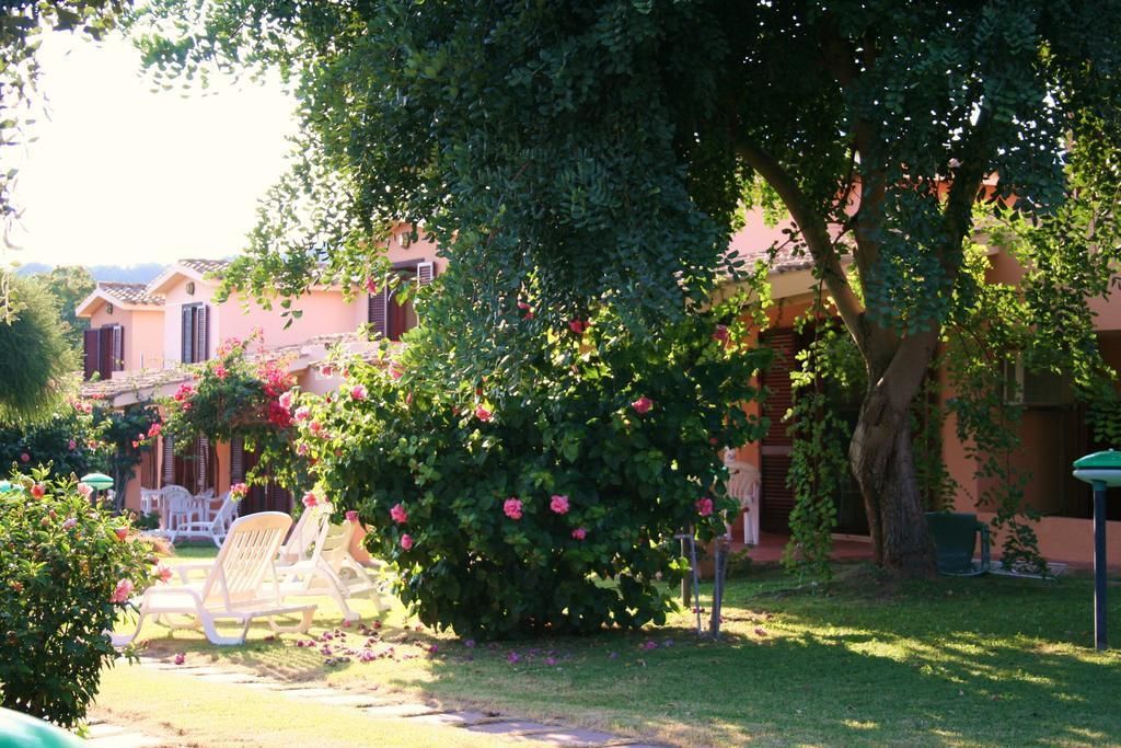 A garden with a large tree, a white chair, and a building with pink walls.