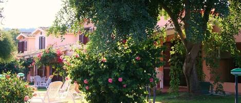 A garden with a large tree, a white chair, and a building with pink walls.
