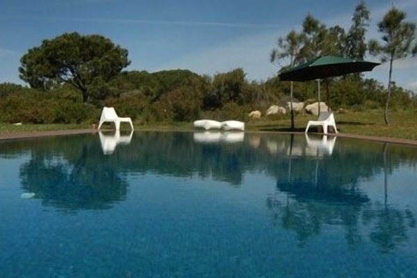 Outdoor pool, pool umbrellas, sun loungers