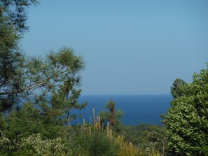 View from property - Casal do Frade (Sesimbra)