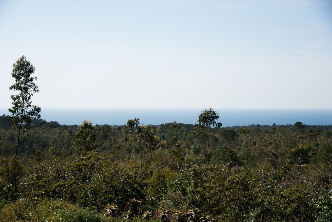 Photo - Casal do Frade