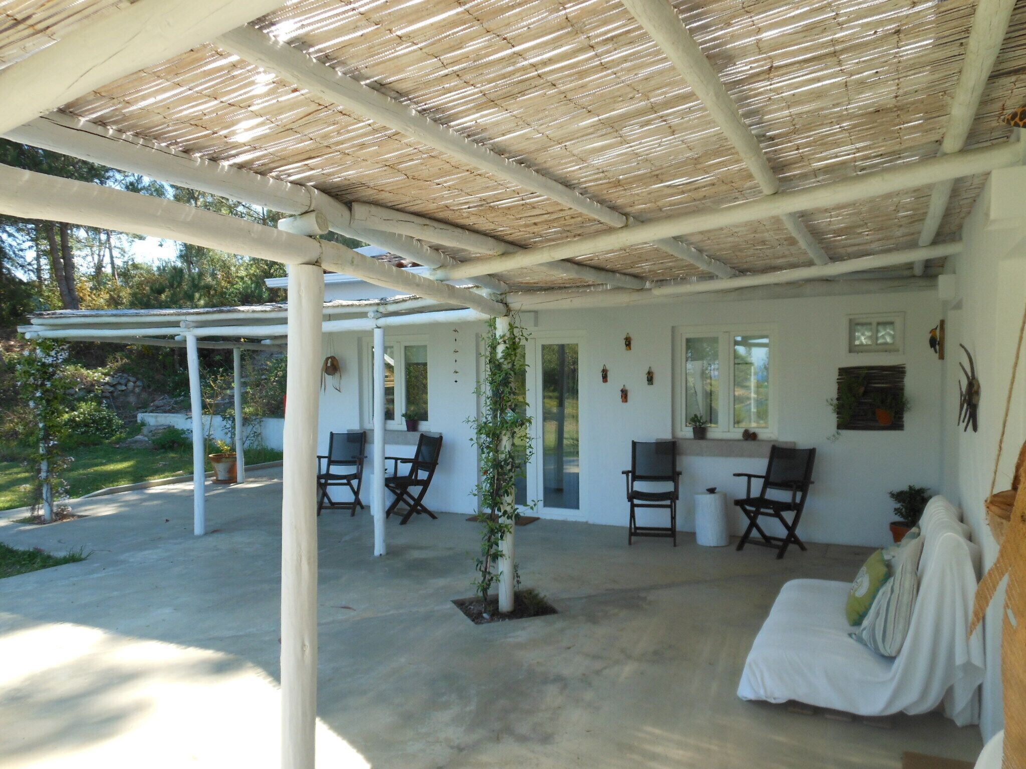 Un espacio de estar al aire libre cubierto con sillas y una mesa, una pared blanca con ventanas y un pequeño árbol.