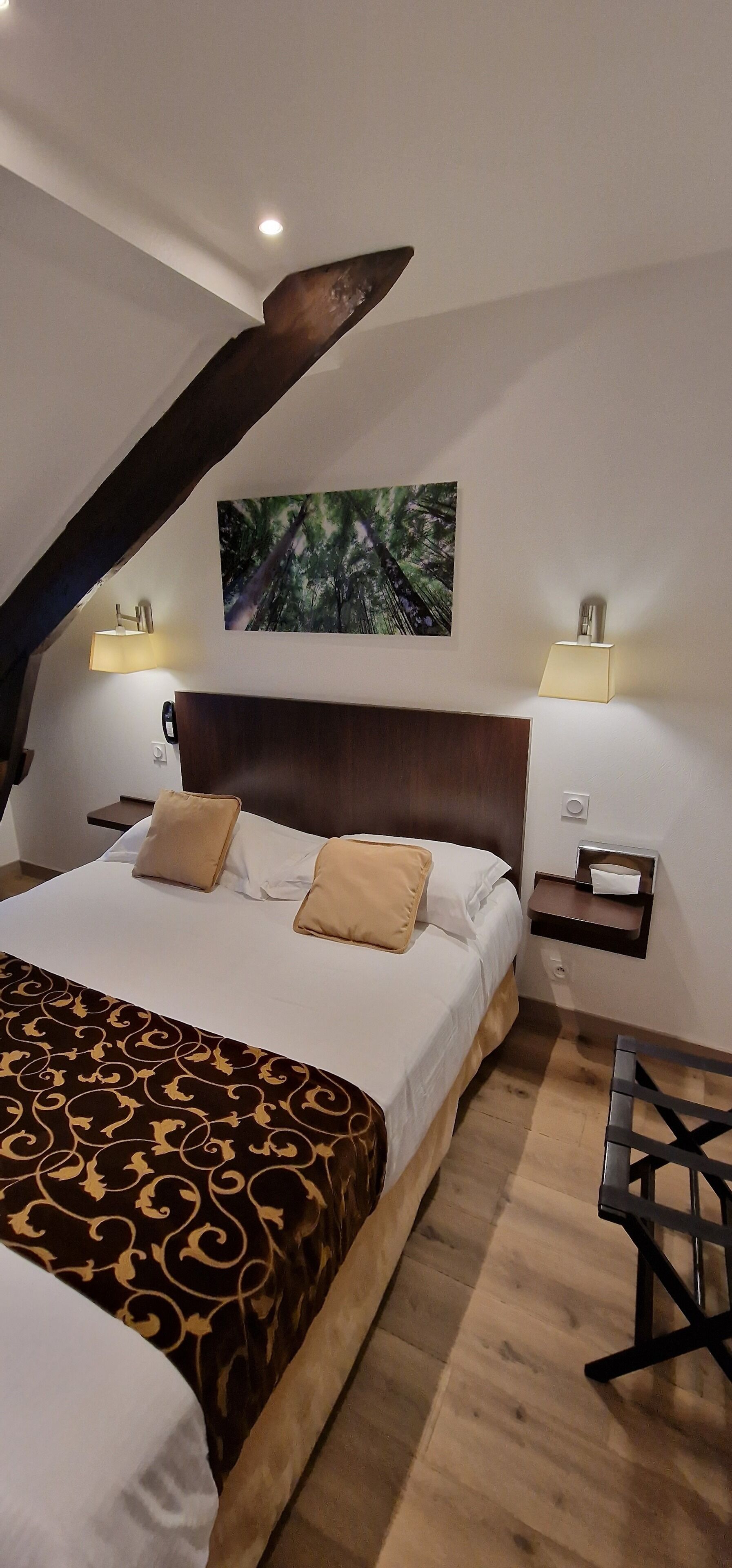 comfort double room | bathroom | shower, eco-friendly toiletries, hair dryer, dressing gowns