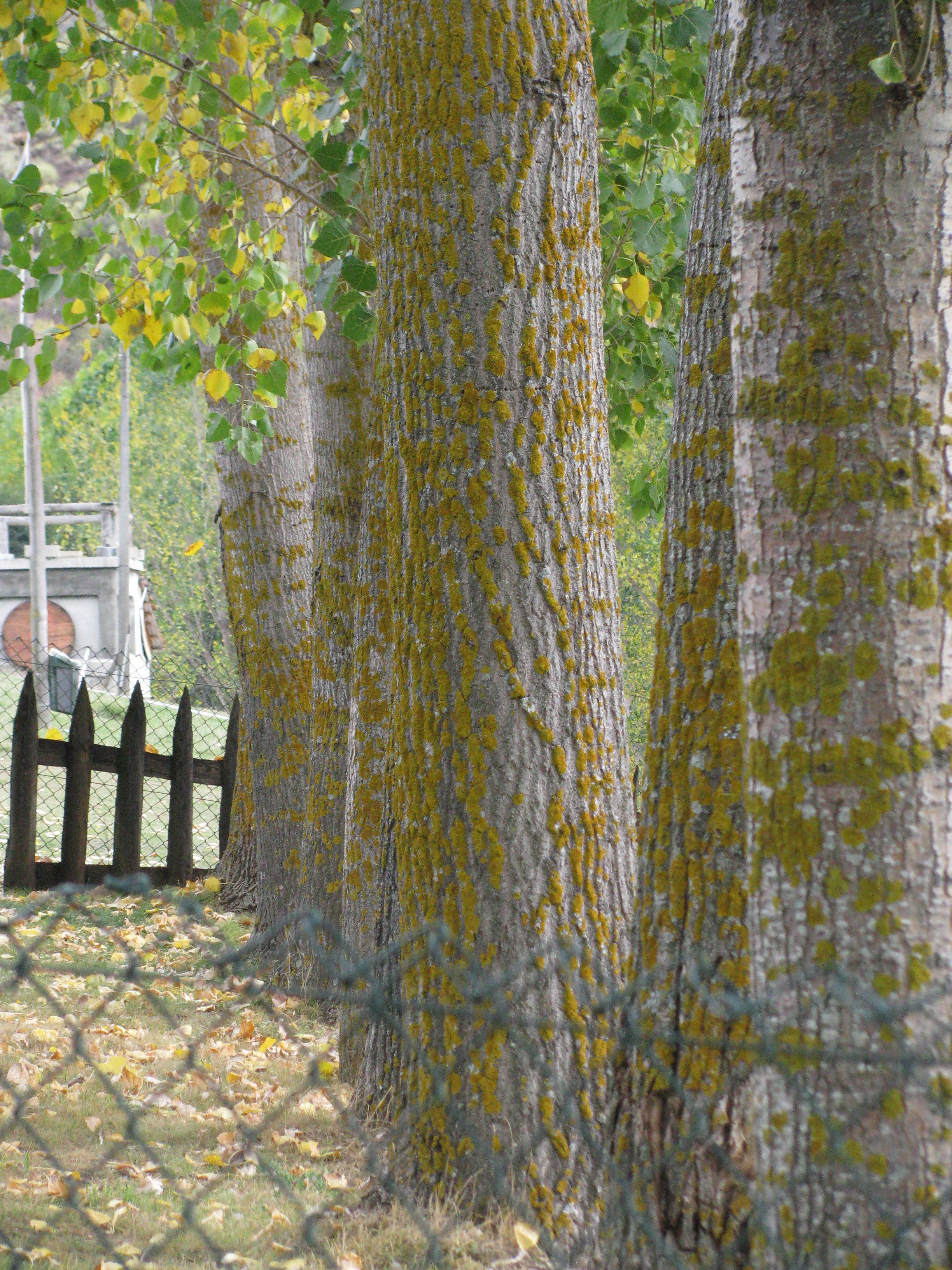 Photo - A. Montesinho Turismo