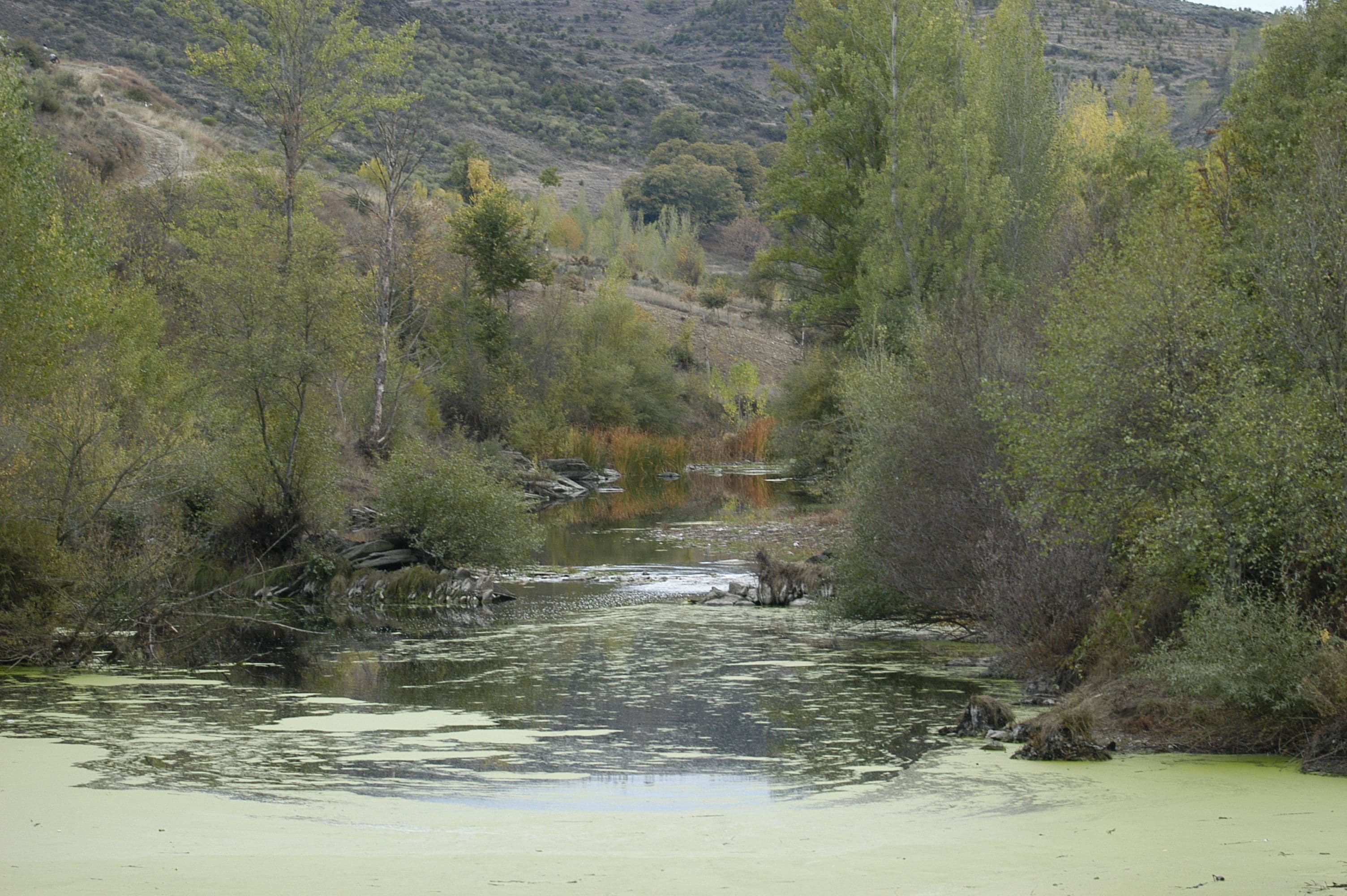 Photo - A. Montesinho Turismo