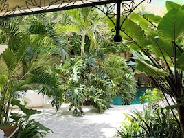 Deluxe Studio Suite | Pemandangan dari bilik
