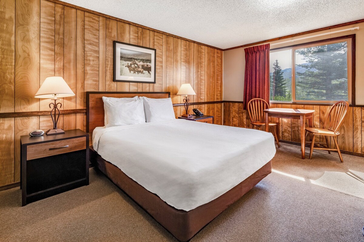 Room, 1 Queen Bed, Non Smoking | Desk, blackout drapes, WiFi (free), bed sheets