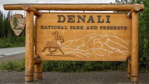 Placa de madeira do Parque e Reserva Nacional Denali, com ilustração de alce e silhueta de montanha.