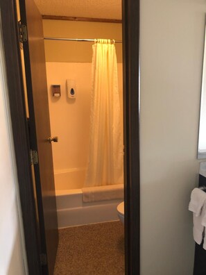 Combined shower/bathtub, hair dryer, towels - Denali Park Hotel (Healy)