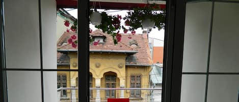 Vista desde la propiedad