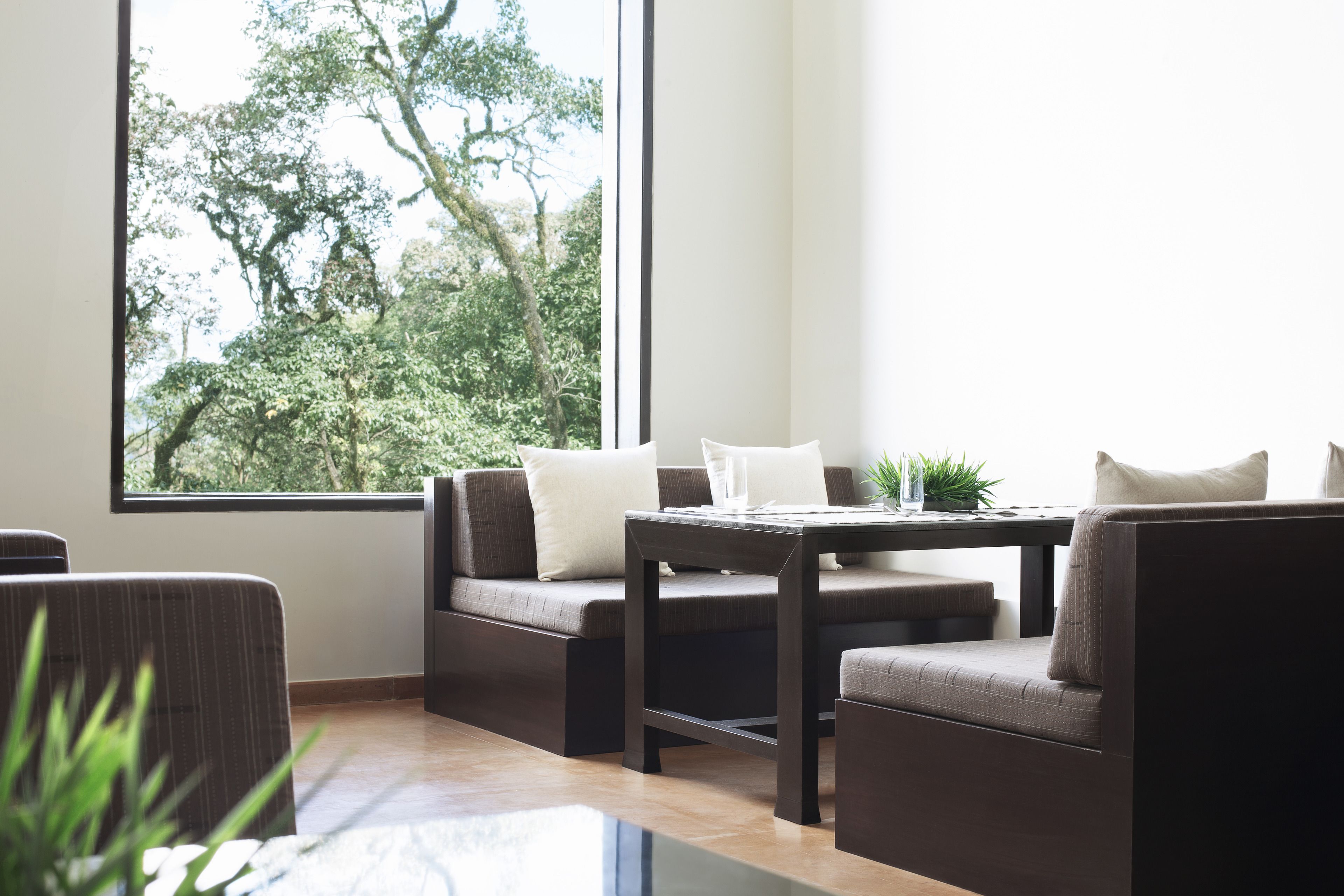 A modern living room with a sofa, a table, and a large window offering a view of trees.