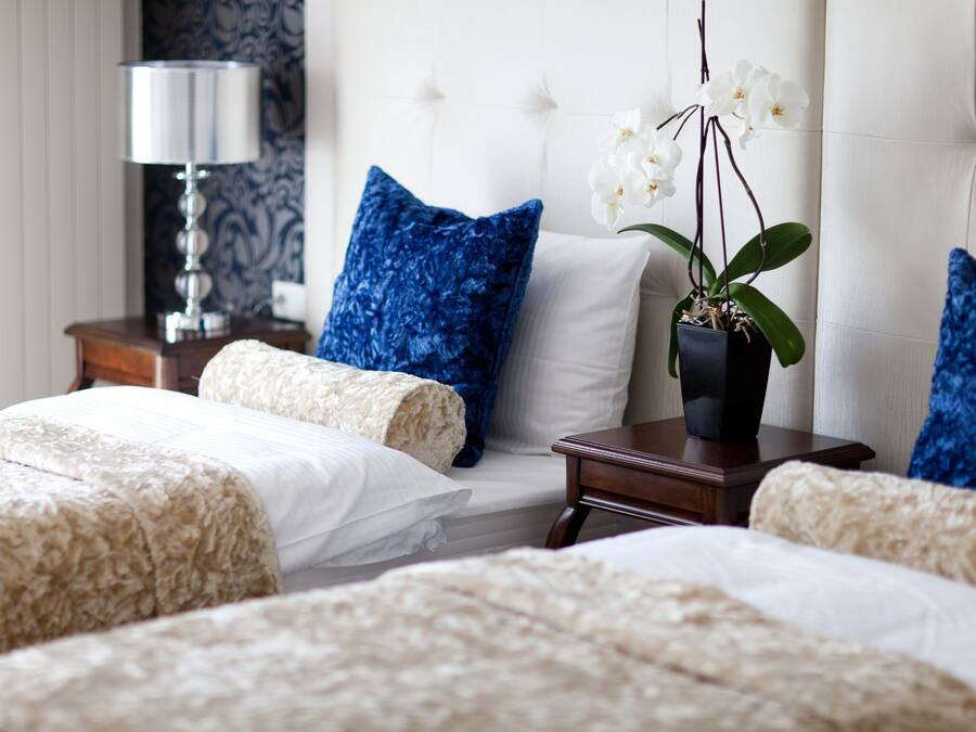 A hotel room with two beds, a nightstand, a lamp, and a potted orchid.