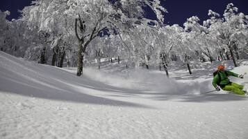 Paisaje nevado con árboles y un esquiador.