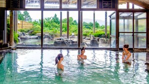Una piscina interior con amplias ventanas, vista a un paisaje natural y una cascada de piedra.