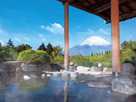 Hot springs. Hotel Green Plaza Hakone