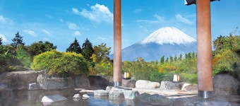 Hotel Green Plaza Hakone
