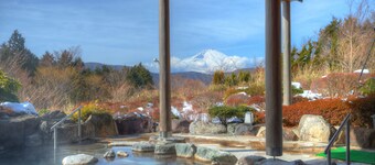 Hotel Green Plaza Hakone