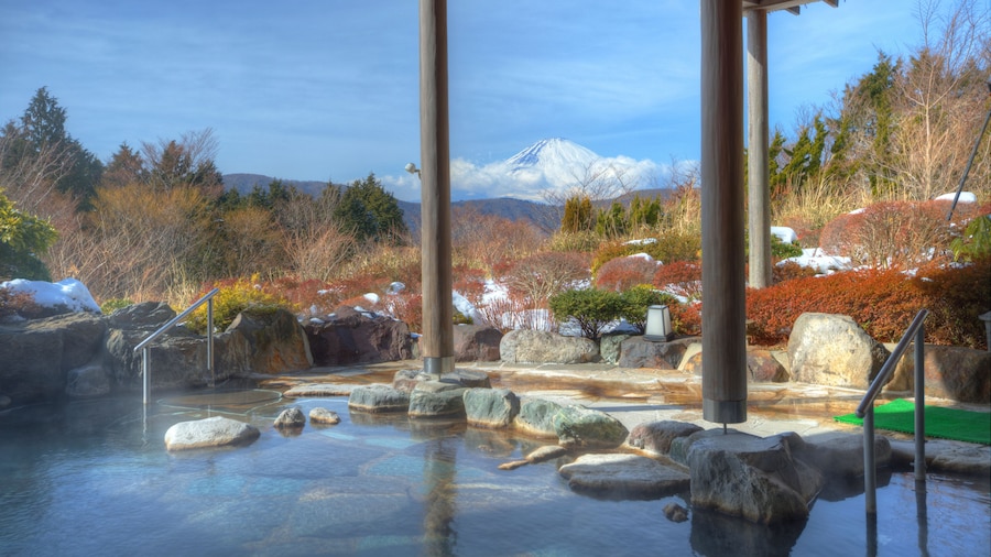 Hotel Green Plaza Hakone