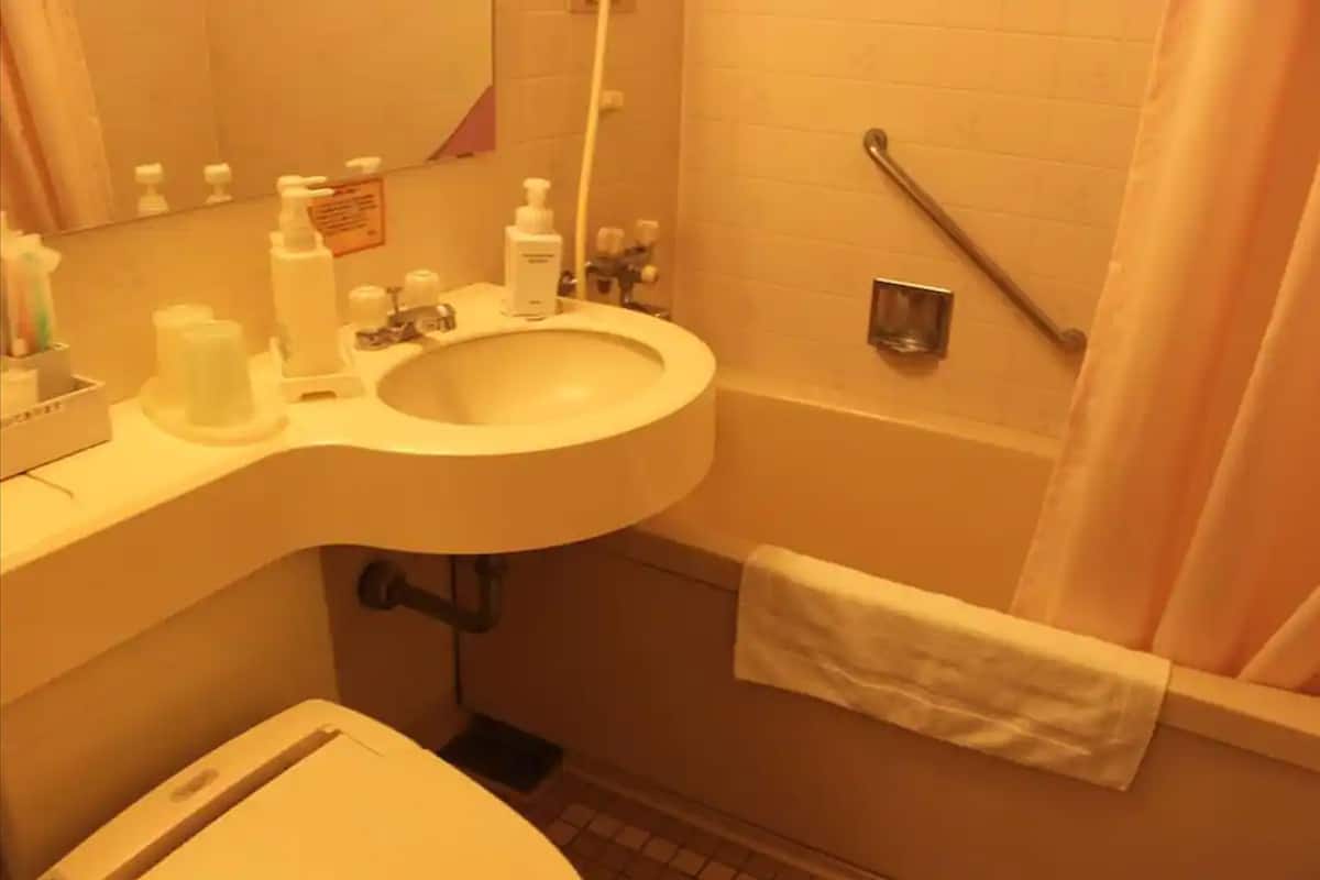 free toiletries, hair dryer, slippers, bidet