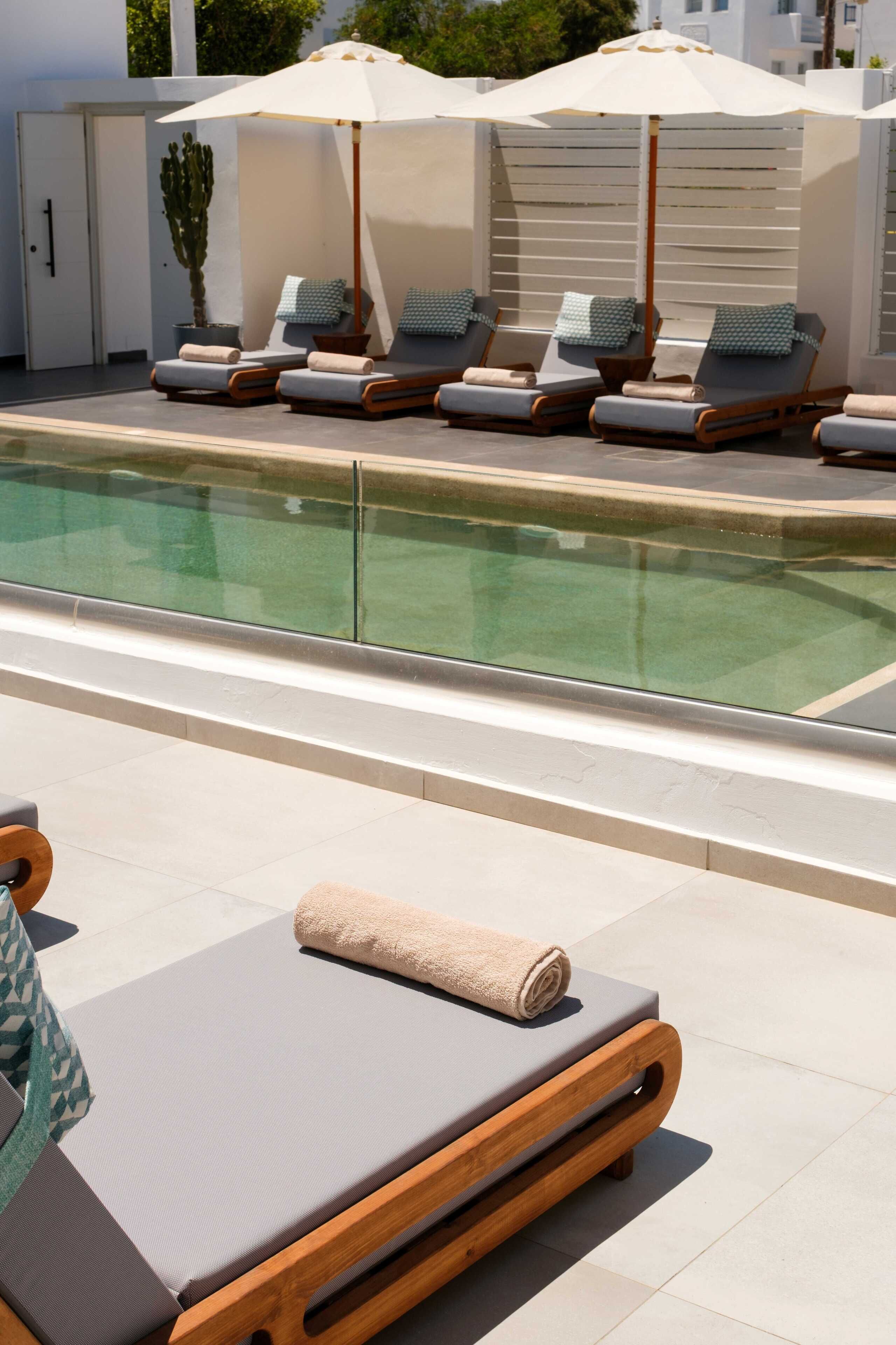 A poolside area with lounge chairs and umbrellas, a cactus plant, and a modern pool.