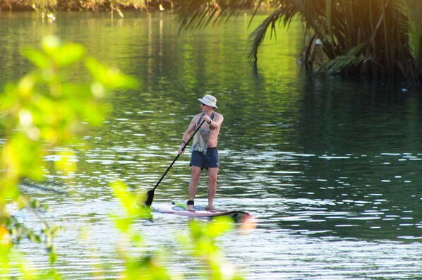 A person paddleboarding on a calm body of water surrounded by greenery.
