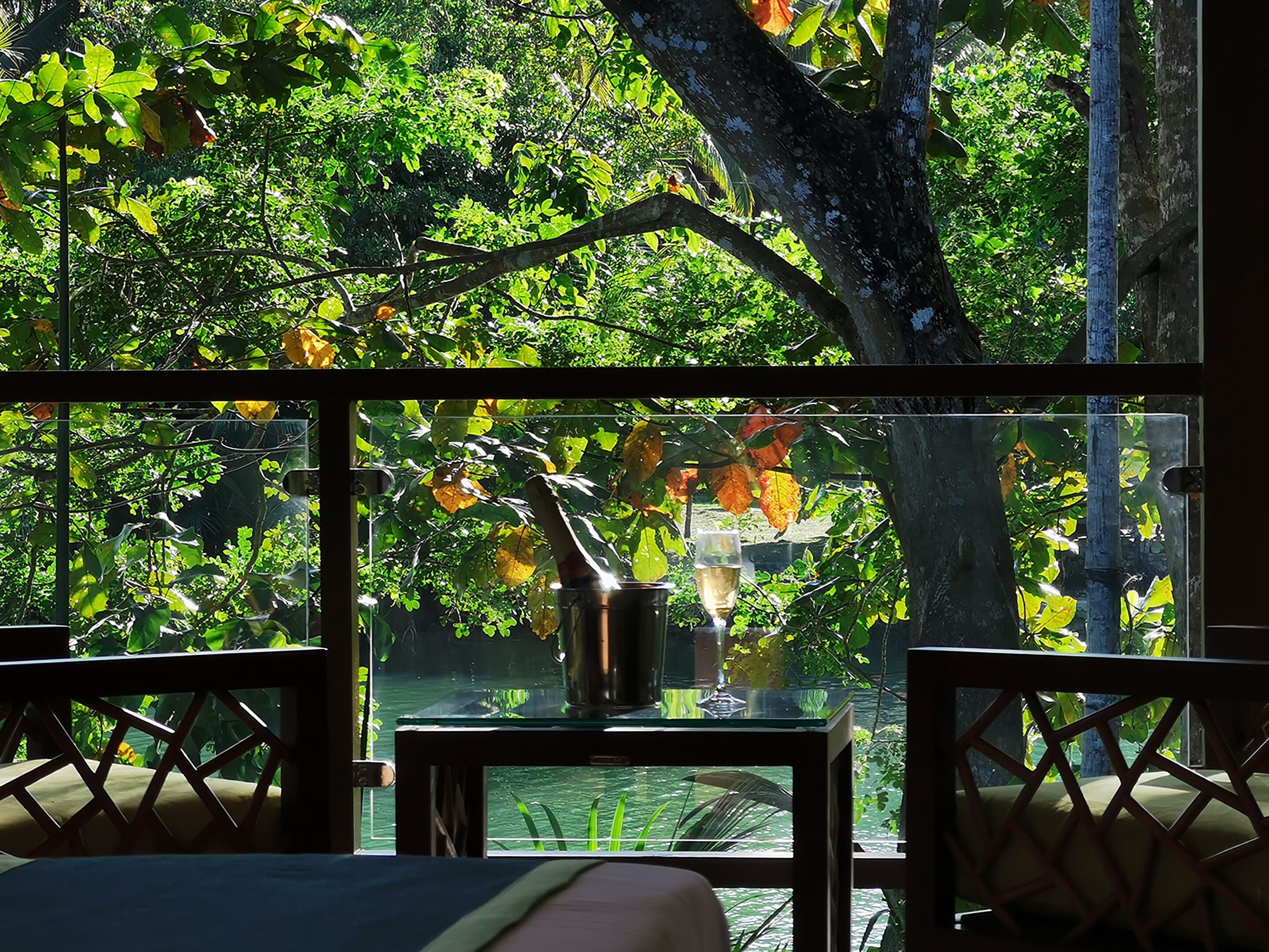 premier room, river view | balcony view