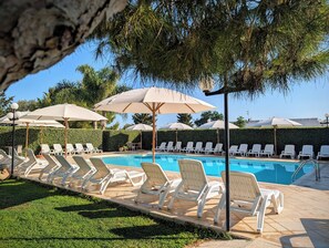Outdoor pool, pool umbrellas, pool loungers