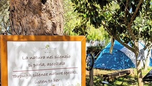 Un cartel con un mensaje sobre la voz de la naturaleza en el silencio, colocado en un tocón de árbol en un camping con tiendas de campaña al fondo.