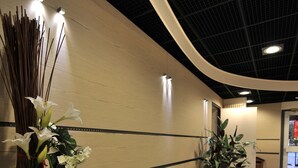 A hallway with a curved ceiling, light fixtures, a potted plant, and a decorative arrangement of sticks and flowers. - Sud Hôtel (Huttenheim)