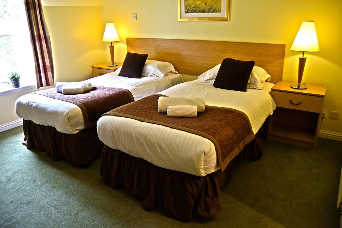A hotel room with two single beds, each with a brown skirted bedspread, white pillows, and a small bedside table with a lamp.