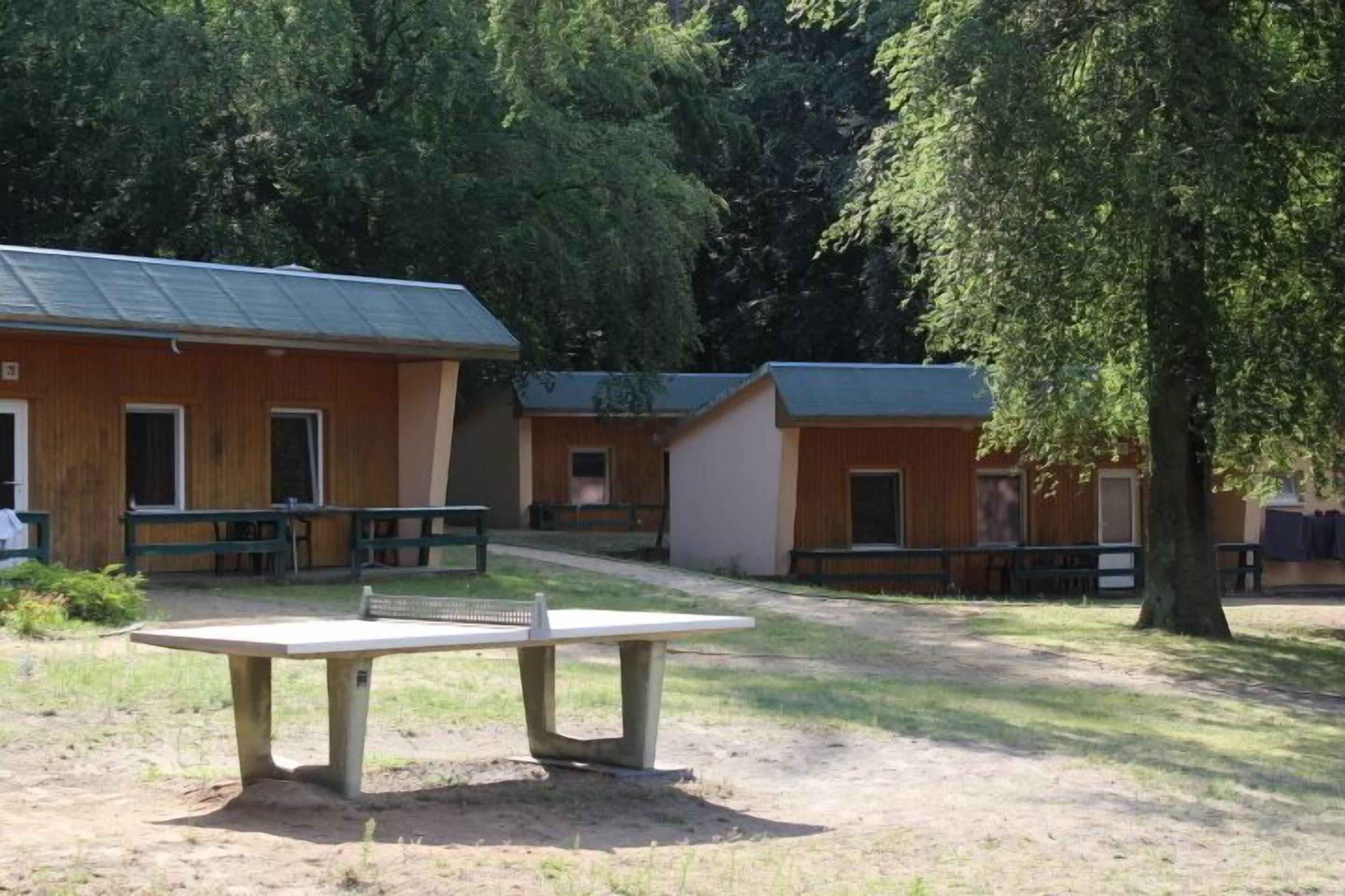 Una hilera de cabañas de madera con una mesa de picnic al frente.
