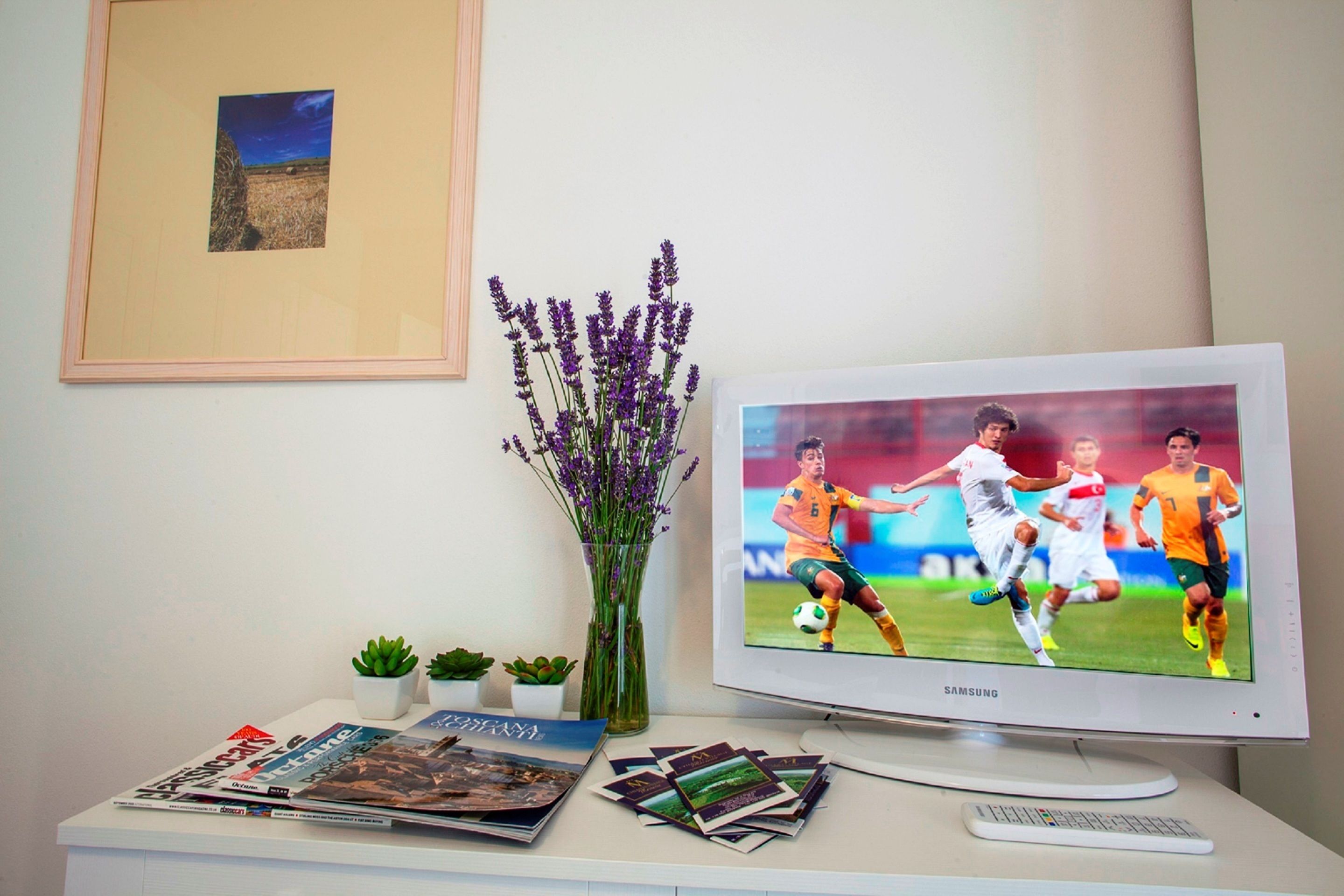 A room with a television displaying a soccer match, a white desk with magazines, a small potted plant, and a framed picture on the wall.
