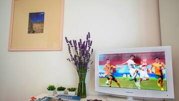 A room with a television displaying a soccer match, a white desk with magazines, a small potted plant, and a framed picture on the wall.