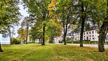 Un parco con alberi, erba e un edificio sullo sfondo.