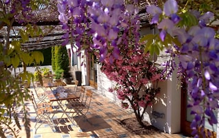 Un patio con mesa y sillas, una pérgola y un árbol en flor.