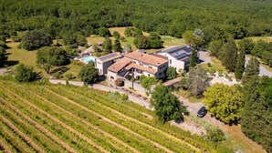 Una casa grande rodeada de exuberante vegetación y viñedos.