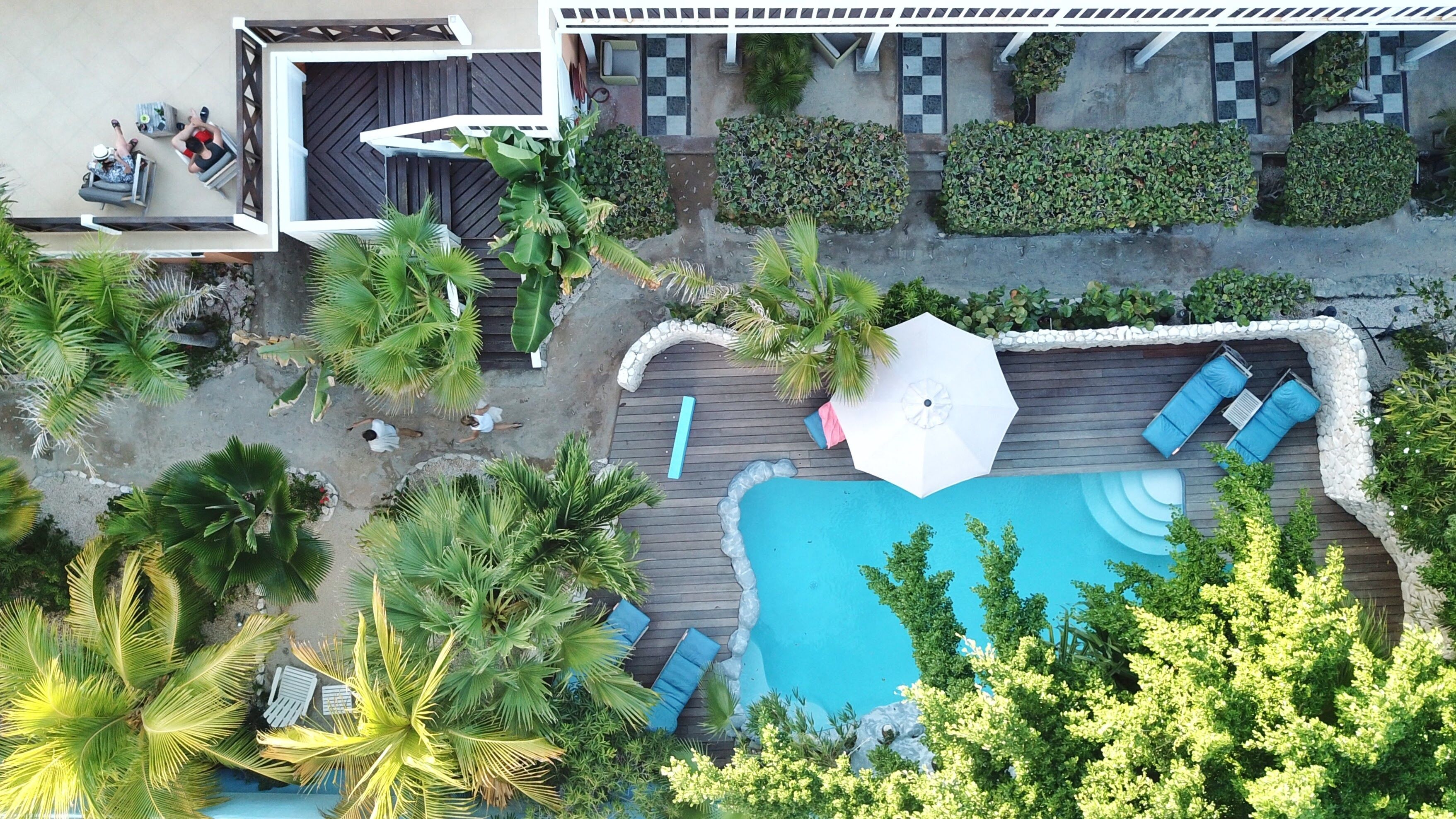 Vista aérea de un resort con piscina rodeada de palmeras y sillas de descanso.