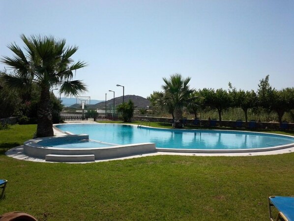 A swimming pool with a curved edge, surrounded by grass and palm trees.