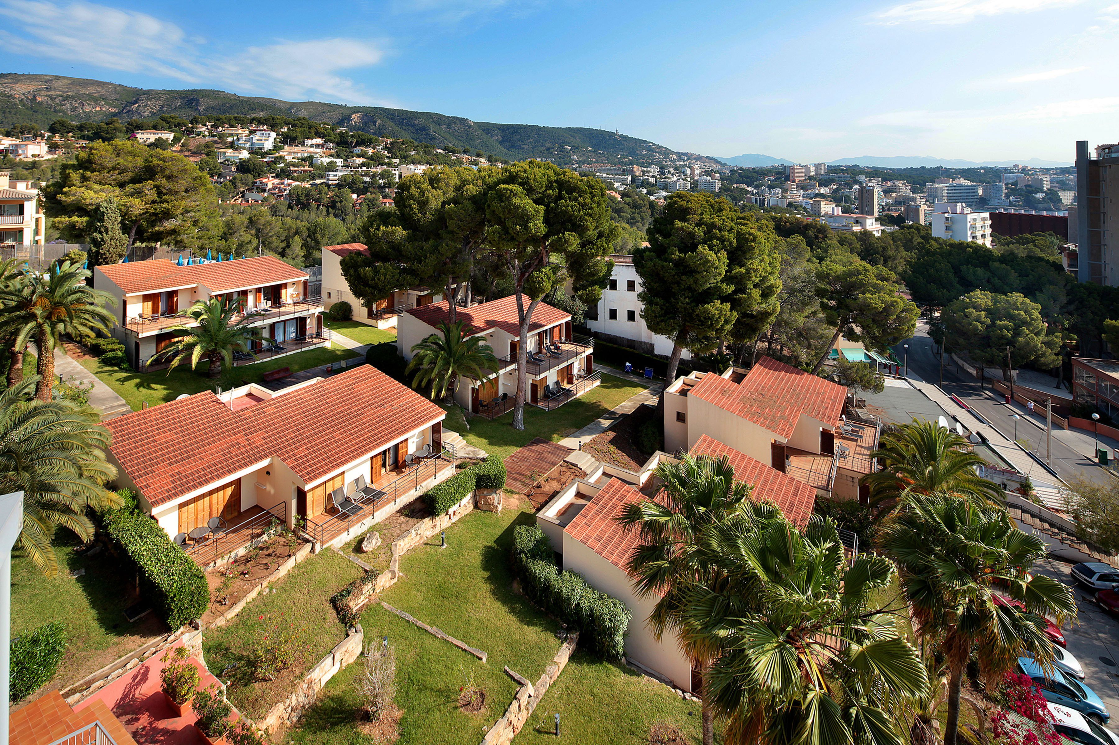 Zona residencial con casas que tienen tejados rojos y abundante vegetación, incluyendo palmeras.