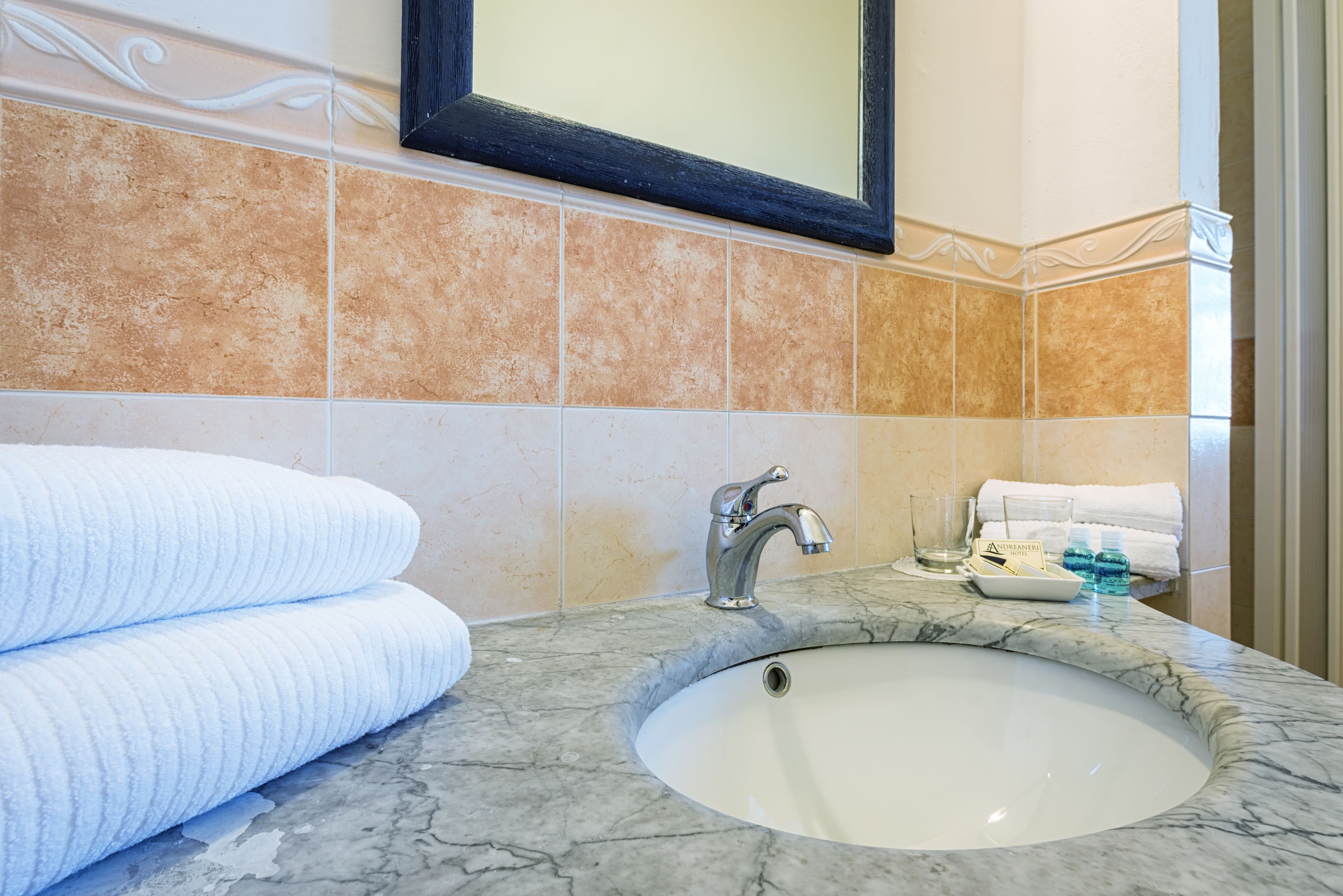 standard double or twin room | bathroom | shower, free toiletries, hair dryer, bidet