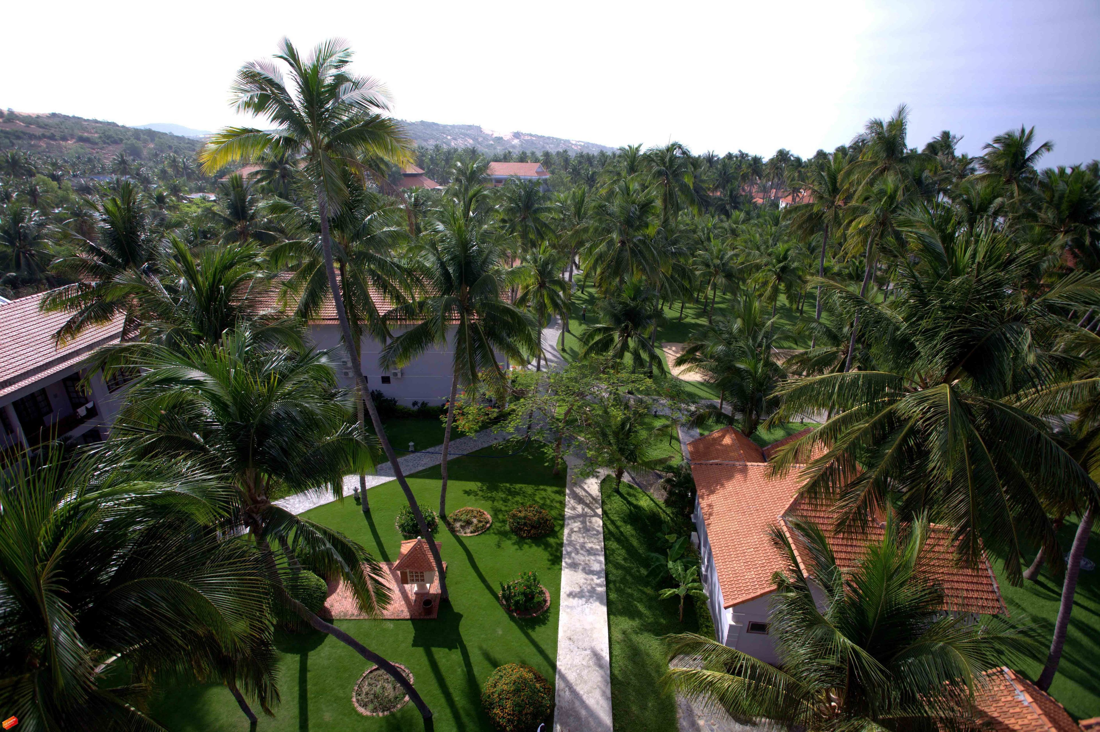 A tropical resort with palm trees, a well-maintained lawn, and a small gazebo.