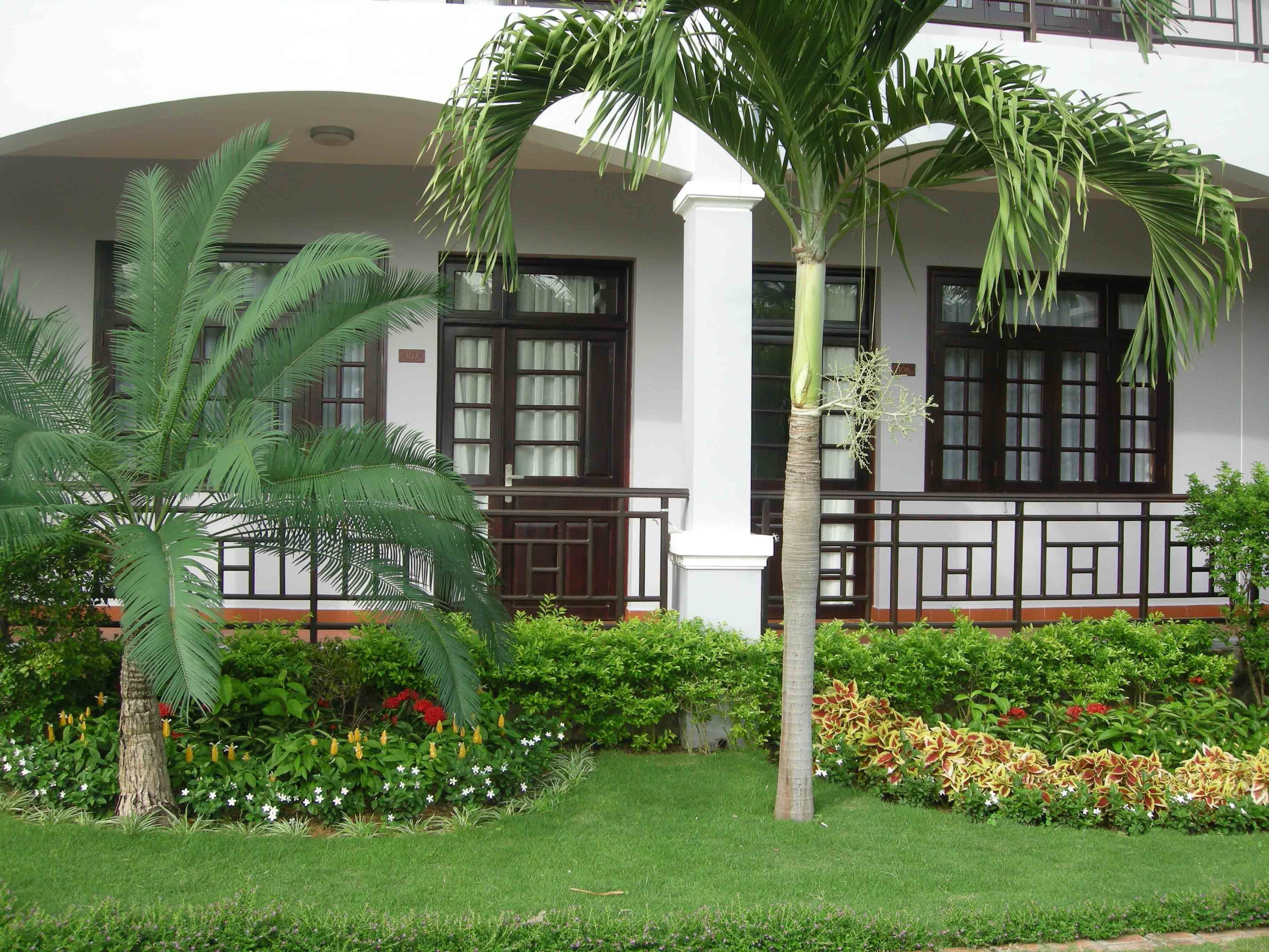 deluxe room, pool view | terrace/patio
