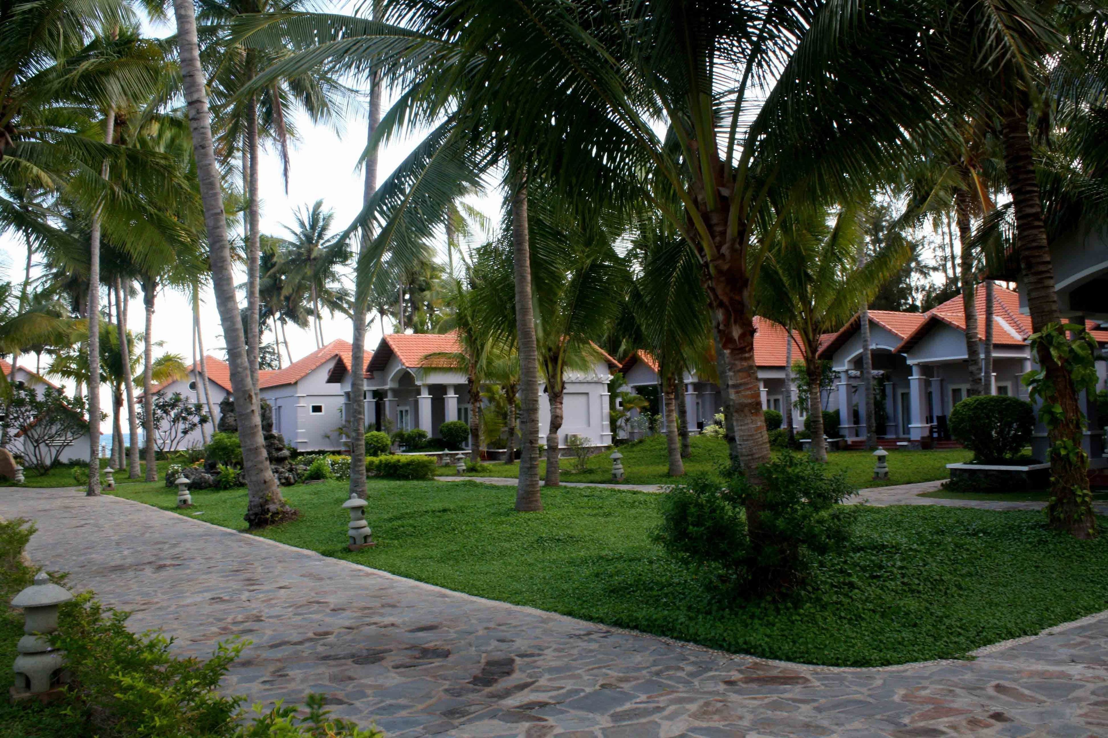 Un resort con varias villas, palmeras y un camino de piedra.