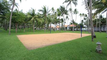 Una cancha de voleibol rodeada de palmeras.