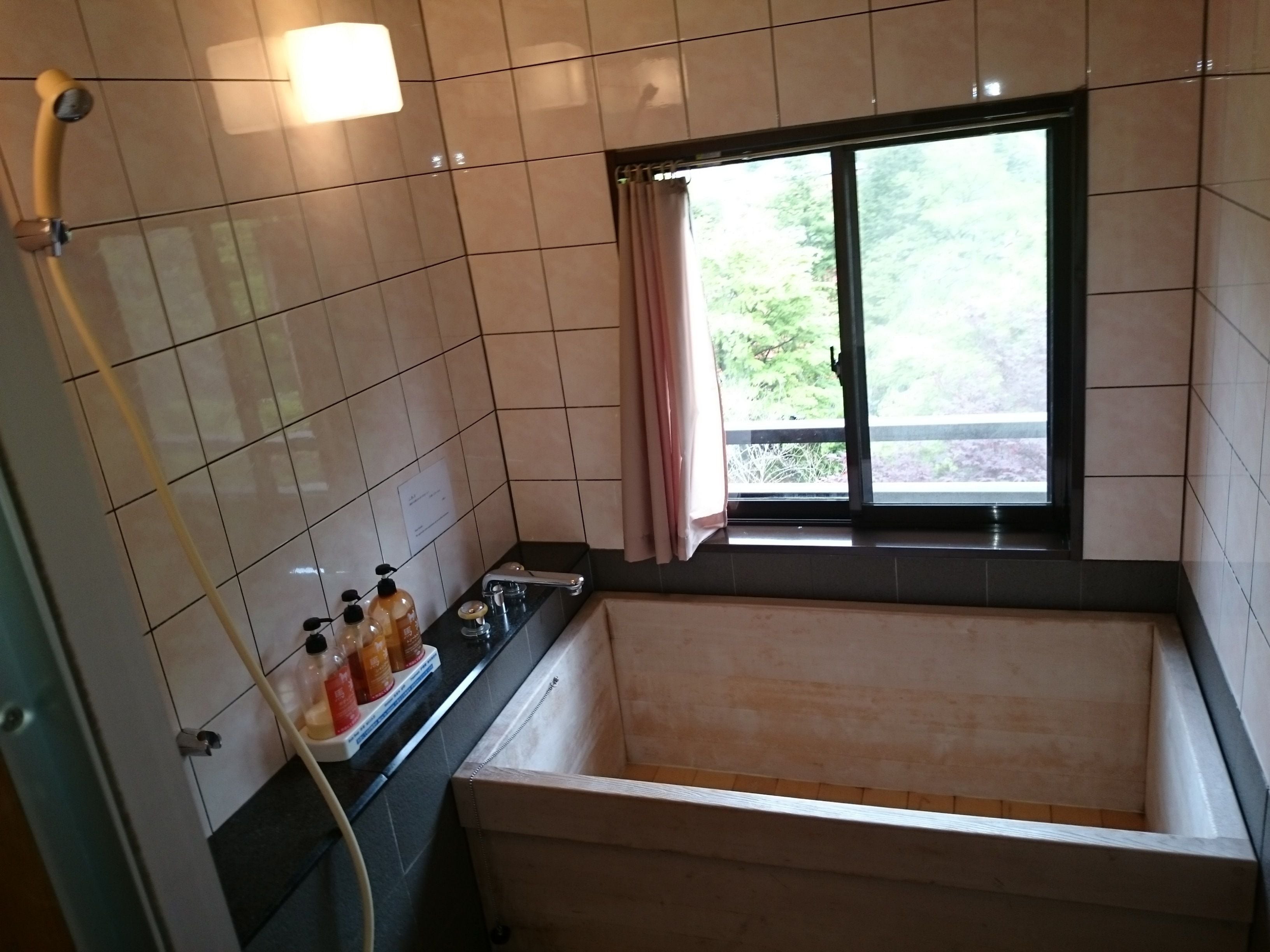 A bathroom with a bathtub, a shower, and a window with a view of greenery.