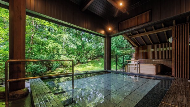 Un espacio interior amplio con un gran ventanal, una piscina pequeña y una estructura de madera.