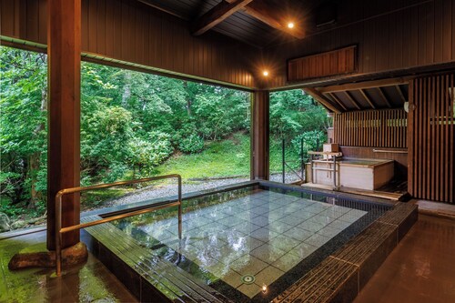 Nikko Hoshinoyado