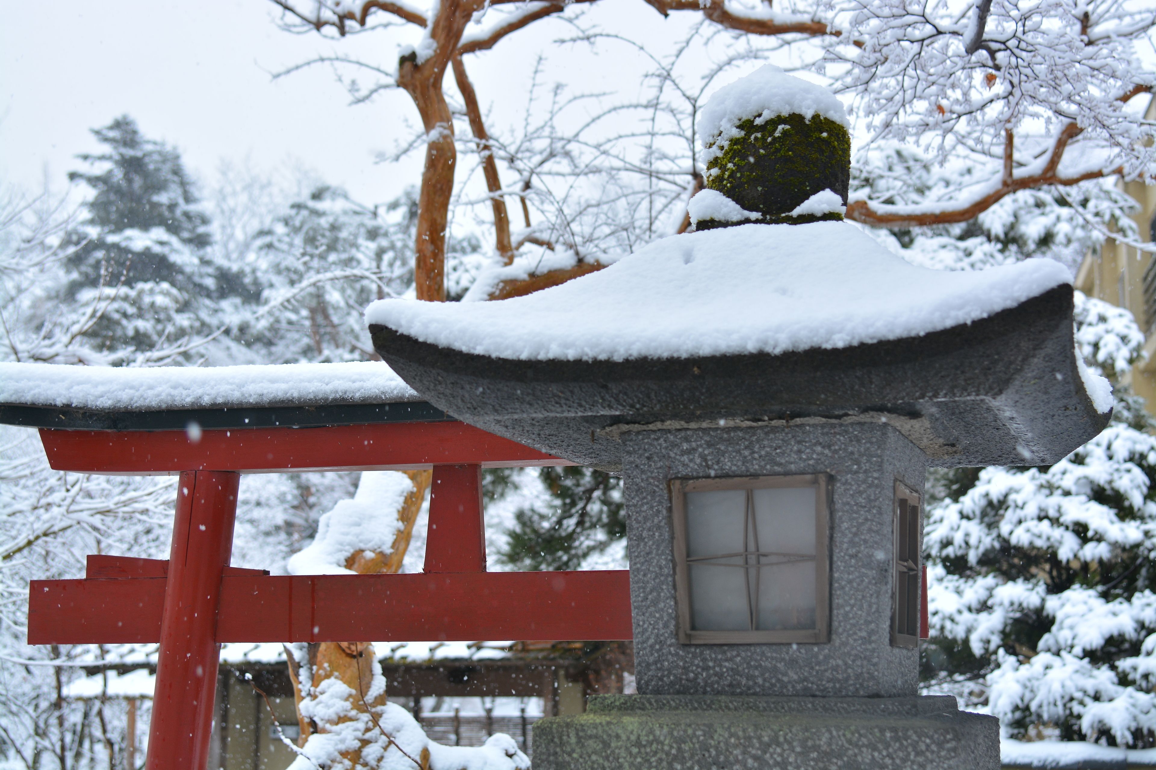 A stone lantern with a snow-covered top, a red torii gate, and snow-laden trees in the background.